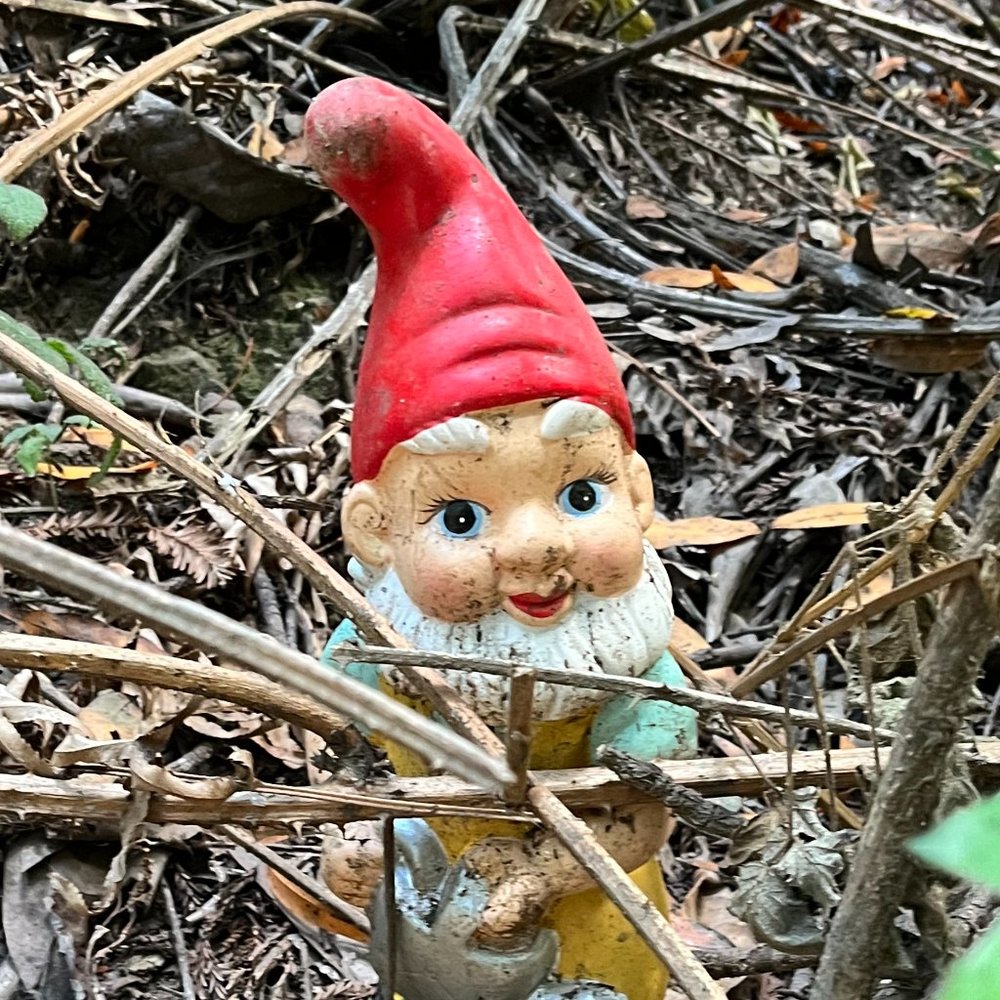 Meet your Posher, Sammantha